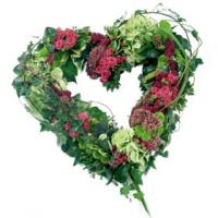 Open Heart (loose) image