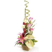 Mothers Day Basket 3 image